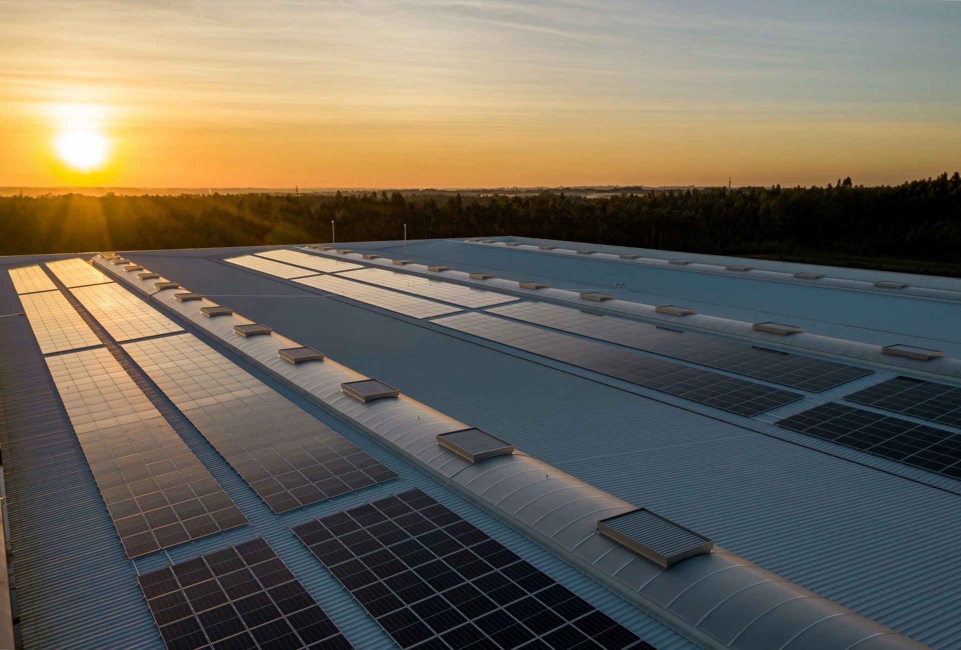 paneles solares blancos y negros