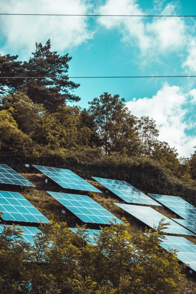 paneles solares en un campo de césped verde